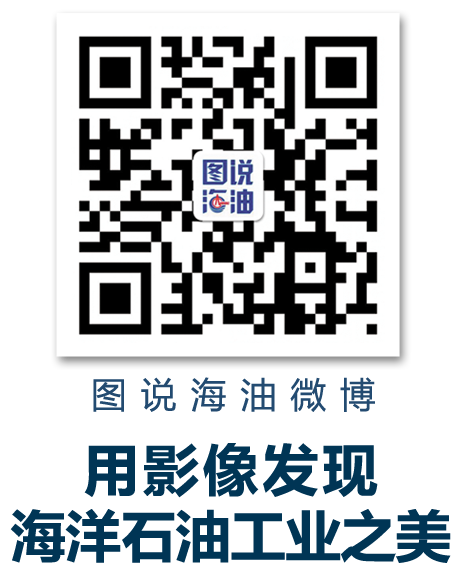 中国海油召开深化改革领导小组会议，汪东进提出要求