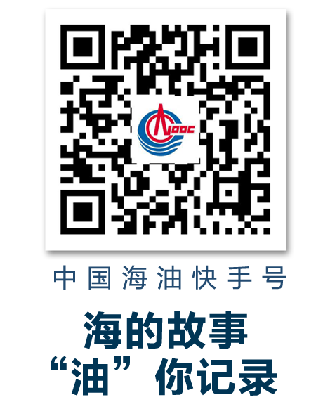 中国海油召开深化改革领导小组会议，汪东进提出要求