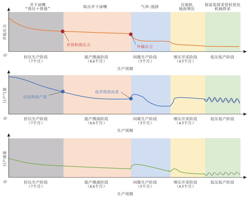 中国石化华东石油局党委书记姚红生，等：南川常压海相页岩气注CO2吞吐提高采收率工程实践！