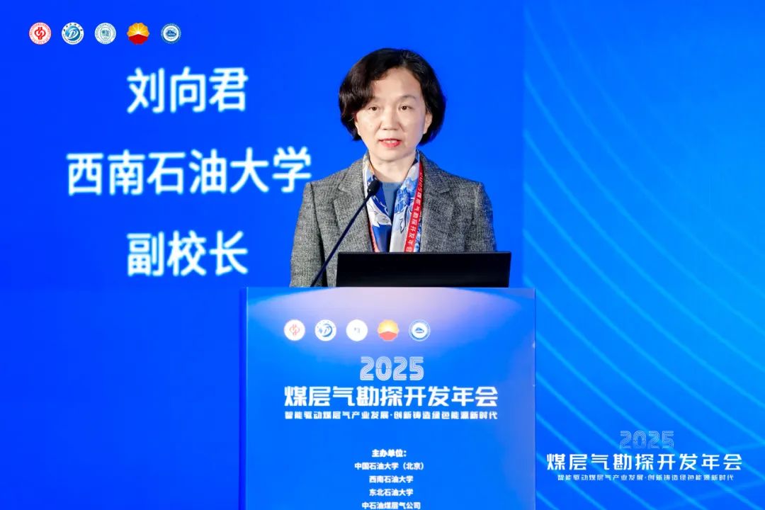 五大院士！2025煤层气勘探开发年会成功举办！